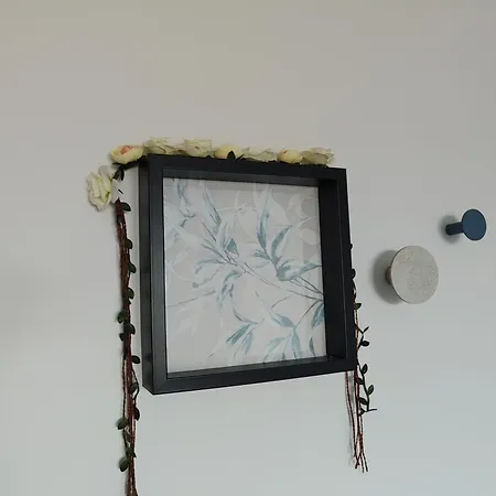 Zelu Centro Da アパート *