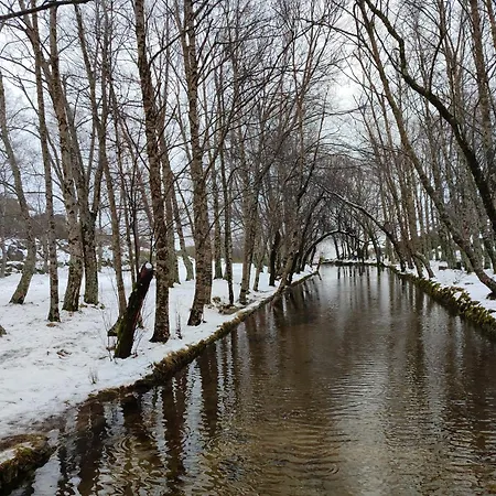 Apartment Zelu Centro Da Guarda