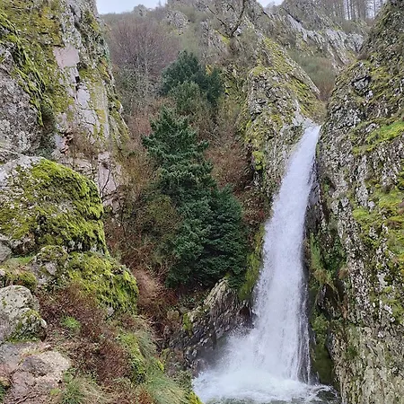 Zelu Centro Da غوآردا
