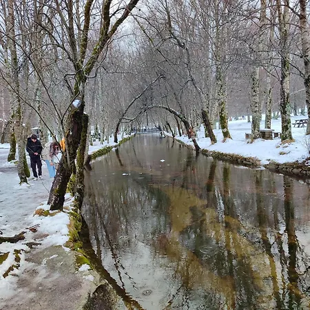 Zelu Centro Da Guarda