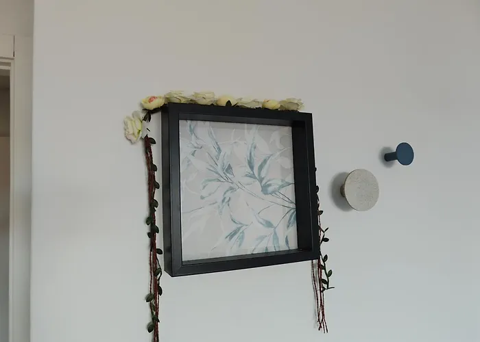 Zelu Centro Da Apartman *