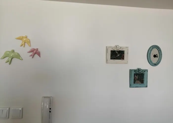 Apartman Zelu Centro Da *