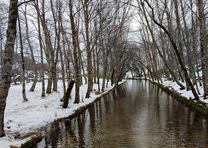 Apartman Zelu Centro Da Guarda