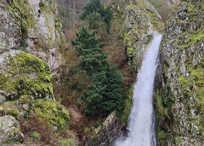 Zelu Centro Da Guarda