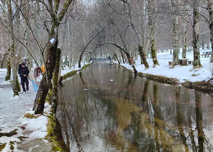 Zelu Centro Da Guarda
